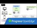 Overview of PAS for OpenEdge in Docker