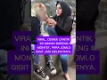 Download Lagu VIRAL !! CEWEK CANTIK INI MAKAN BARENG  MONYET, PARA JOMLO GIGIT JARI MELIHATNYA#shorts