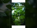 Download Lagu Bagas ran ~ Cinta terakhirku  ( story wa  / snapgram )