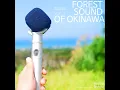 Sound of Nature in Okinawa Clean Forest 2 - Nature Sound Band
