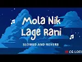 Lagu Mola Nik Lage Rani ( मोला निक लागे रानी )।।  Slowed and Reverb।। Lofi Song।। CG Lofi ।।