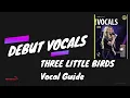 Three Little Birds Lyric Video Rockschool Debut Vocals