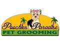 Pet Grooming in Modesto