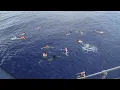 Swimming above Mariana Trench, Pacific Ocean, 14 May 2011