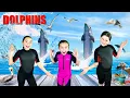 Download Lagu Dolphins for Kids | All About Dolphins | Bottlenose Dolphins
