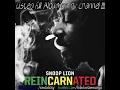 09 Snoop Lion - Tired of Running (feat. Akon)