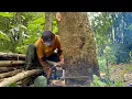 Best Skill... Quickly Felling a Century-Old Jackfruit Tree‼️ 