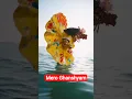 Download Lagu Mera shyam tu Ghanshyam tu