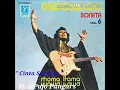 Lagu Rita Sugiarto _ Cinta Segitiga ( Soneta Vol 6 135 Juta 1976 )