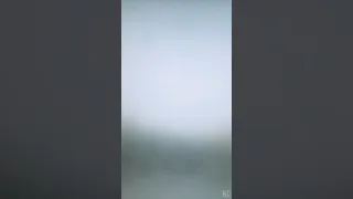 حلو الحلو بكل خصاله إلا دلاله ميعجبنيش 