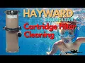 How To Clean A Hayward SwimClear Cartridge Filter STEP by STEP