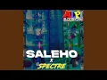 Download Lagu Saleho X Spectre