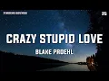 Download Lagu Blake Proehl - Crazy Stupid Love (Lyrics)