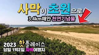 태안 신두리해변 지금이 딱.. 외국 보다 멋진 국내 차박 여행지, 3.4km의 해안 천연기념물이 난 개발의 후유증, 캠핑카여행 태안여행 신두리 사구 태안국립공원 썸네일