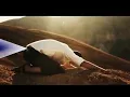 Eurice Diniz | Vem Resposta Aí | Video Letra Oficial