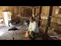 Clipping Peacock Feathers Peacock Minute peafowl com