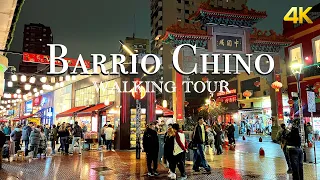 Barrio Chino Buenos Aires Walking Tour | Chinese Arch, Shops & Cafés Under the Railway Bridge