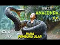 Download Lagu Anaconda: Cursed Jungle (1/9) | Para Pemburu Ular | Cuplikan Film Monster | ClipFlix