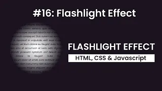 Day 16 Flashlight Effect 30 Days 30 Javascript Projects