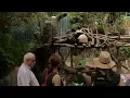 Returns on panda conservation for China