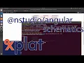 How to use Angular generator schematics with Xplat extensions inside NRWL NS workspace