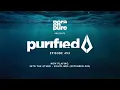Lagu Purified Radio 493