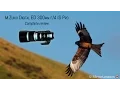 Olympus M Zuiko 300mm Pro Review