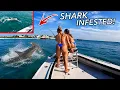 Fishing SHARK INFESTED WATERS For GIANT SEA CREATURES They Go NUTS