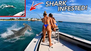 Fishing SHARK INFESTED WATERS For GIANT SEA CREATURES They Go NUTS