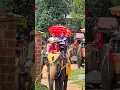 Download Lagu Ada gajah di balik batu