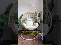 Download Lagu Jaden Outdoor Rattan Hanging Egg Chair - Uno Pick Outdoor