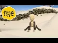 Lagu 숀 더쉽 🐑 🚜😲 농장에서 벌어지는 깜짝 사건! 🐑 어린이 친화적 시리즈 - 숀 더쇼위츠