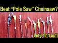Best Pole Saw Chainsaw EGO vs Milwaukee Oregon DeWalt Ryobi Worx Craftsman Sun Joe