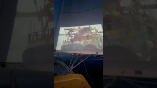 Attracting all kinds of attention at sea.