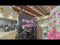 上野駅で弾いたら盛り上がった。「チェリー」【スピッツ】#東京春音楽祭2025