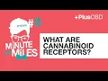 What are Cannabinoid receptors Minute with Miles