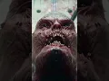 Download Lagu Killing Floor 3 is the most horrible PC game ever #killingfloor3
