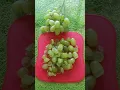 Download Lagu Sour grape ? No problem 😊 Recipe for sour grapes.