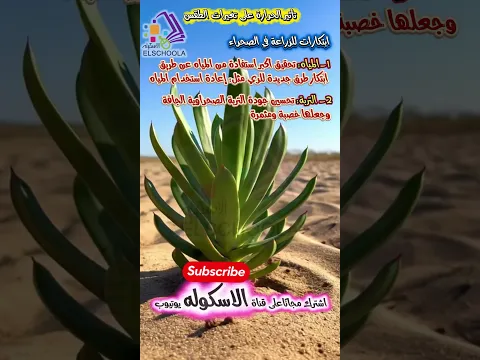 علوم ستة ابتدائي | تأثير الحرارة على الطقس و إزاي بنزع الصحراء 🌵 (المنهج الجديد 2026)