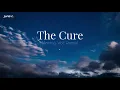 Download Lagu The Cure (Animus Volt Remix) - Sean Kolar