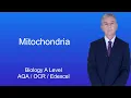 A Level Biology Revision Mitochondria