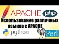 Running Python Bash and Perl scripts via Apache CGI Common Gateway Interface