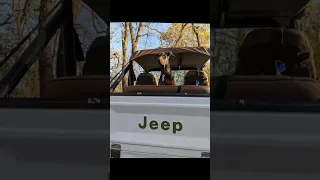 Young Violet in my old jeep .. #fyp #dream #youtube #doberman #pets
