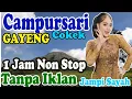 Download Lagu Full album 1 JAM Tanpa iklan campursari sragenan - paling cokek Bass Paling GER!! View Tlaga Sepi