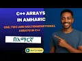 Part 29 C Arrays in Amharic