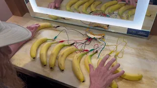 "Weird Al" Yankovic - Banana Synthesizer