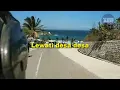 Download Lagu Jalan Jalan di Akhir Pekan Sambil Nyanyi Lagunya Shaggy Dog