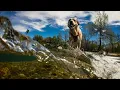 Pet Friendly San Marcos