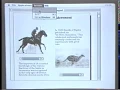 Dynamic Documents