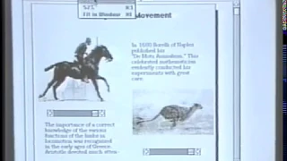 Dynamic Documents